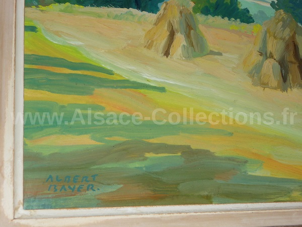 Albert Bayer 114