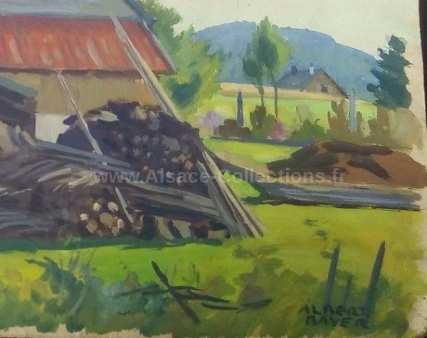 Albert Bayer 130c.jpg