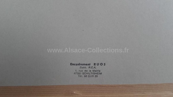 Albert Bayer 157c