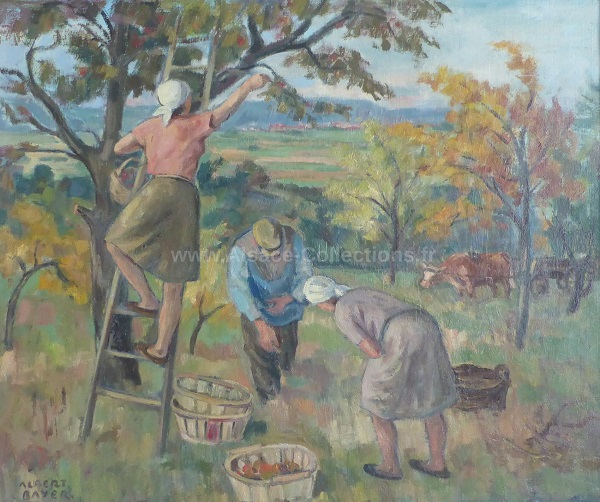 Albert Bayer 167c
