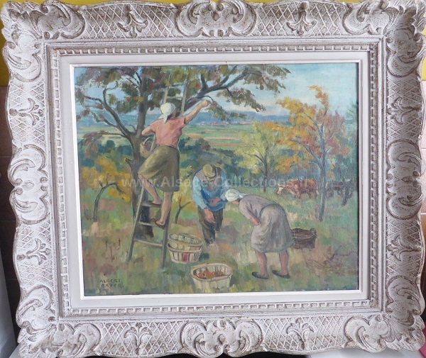Albert Bayer 168c