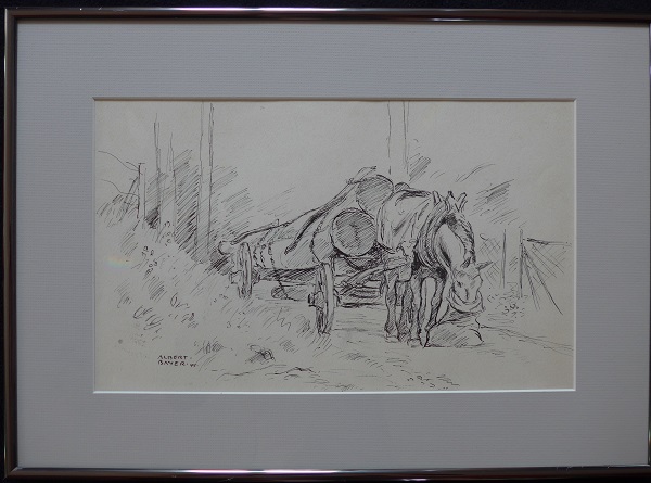 Albert Bayer 77
