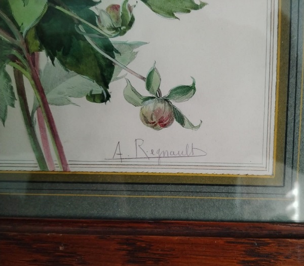 Alice Regnault 08.jpg