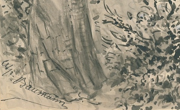 Alphonse Victor Baumann 1