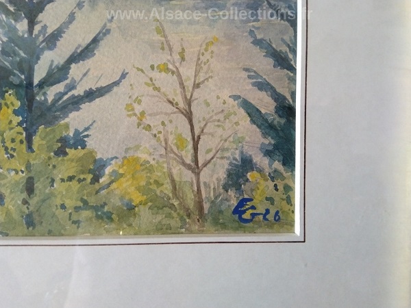 Alsace 500c.jpg