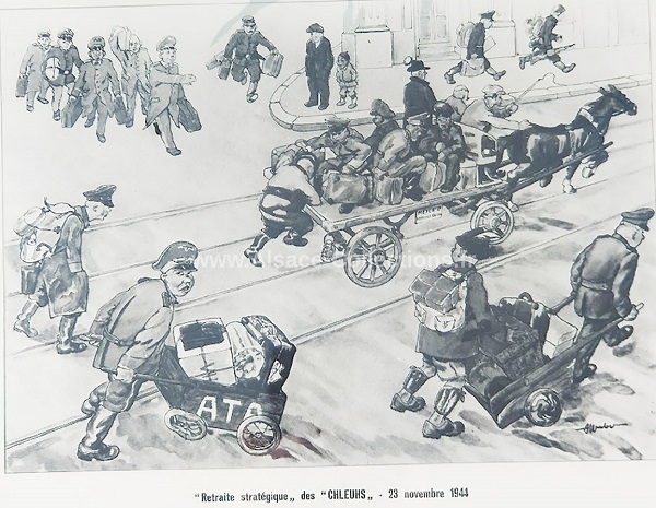 Alsace 509c.jpg