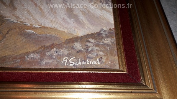 Andre Schubnel 02c.jpg