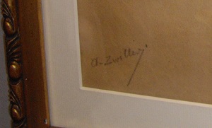 Zwiller Marie-Augustin