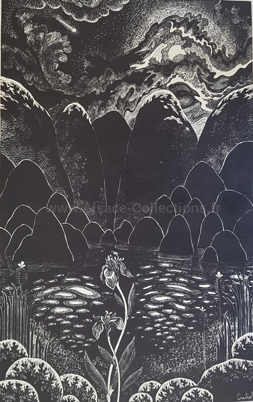 Bernard Ambielle 11c.jpg
