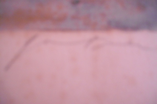 Bernard Gantner 67