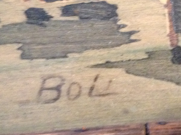 Boli 19