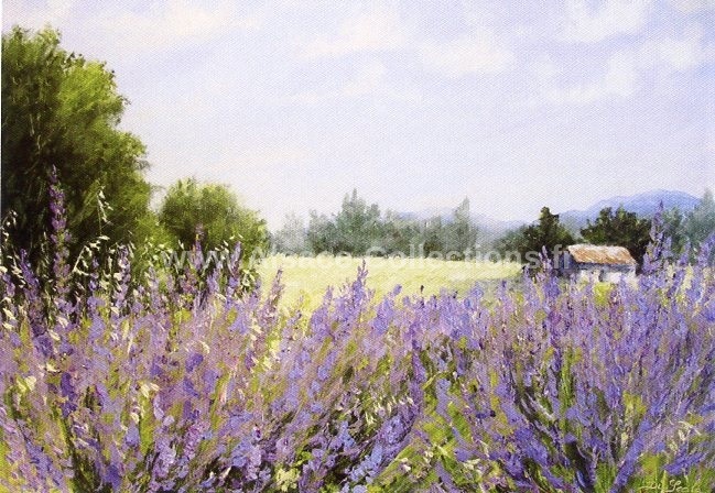 Brigitte Di Scala 13c.jpg
