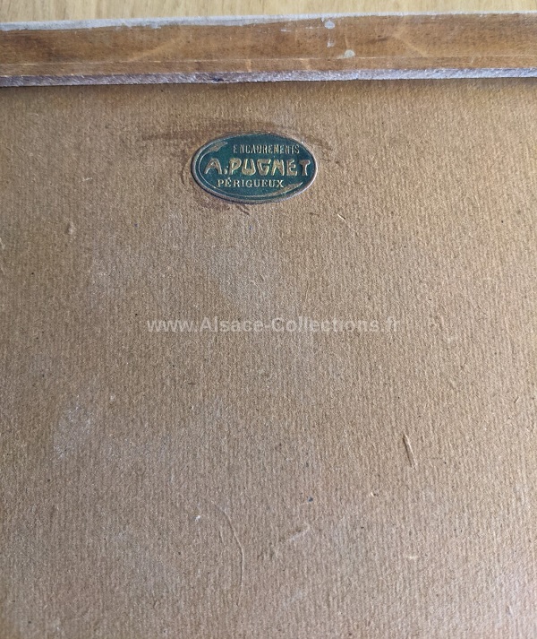 Dorette Muller 105c