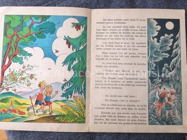 Dorette Muller 84c