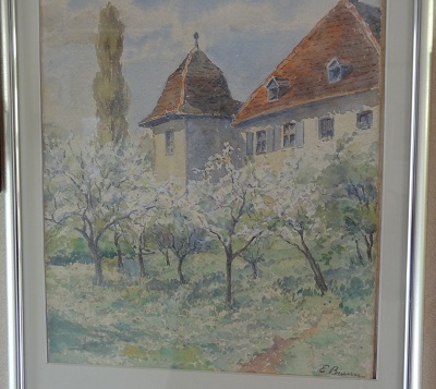 Elisabeth Braun dornach