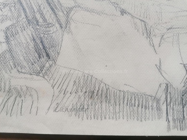 Emile Schneider 11c