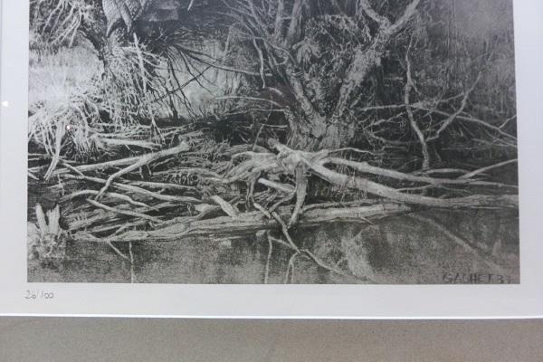 Gerard Gachet 5