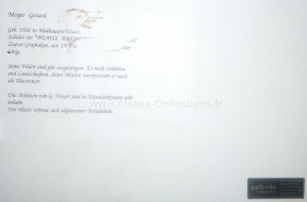 Gerard Meyer 61c.jpg
