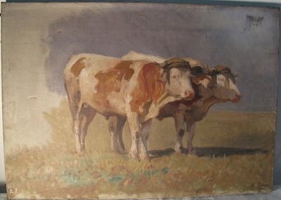 Henri Zuber