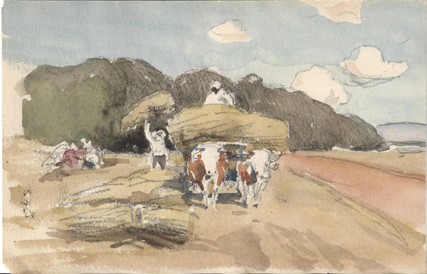 Henri Zuber 24