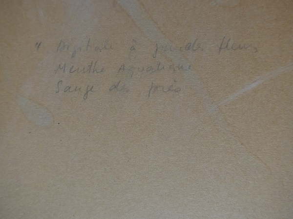 Jean-Pierre Rinck 9