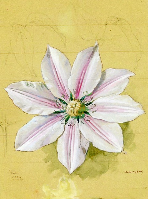 Joseph Asal 27
