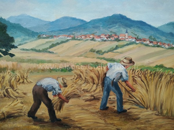 Marcel Zumsteeg 39c