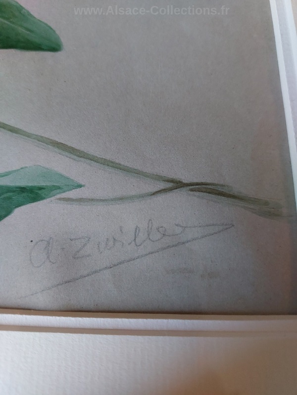 Marie-Augustin Zwiller 151c.jpg