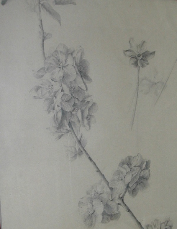 Marie-Augustin Zwiller 92