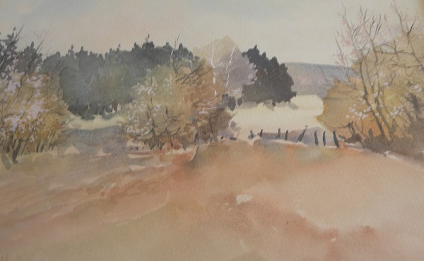Michel Colin 8