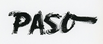 Paso 29