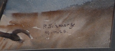 Paul Schwarz