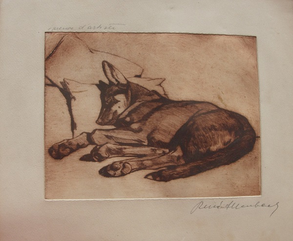 Ren&eacute; Allenbach 49