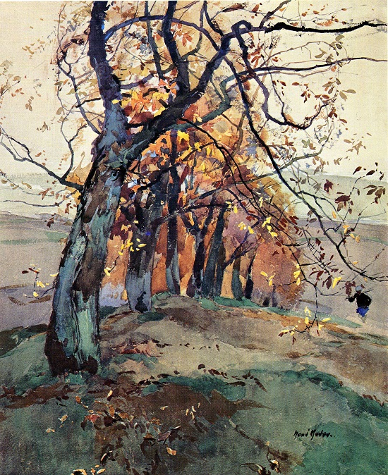 Ren&eacute; Kuder