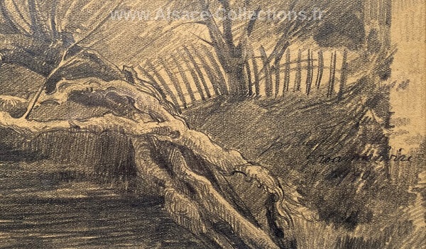 Robert Kammerer 116c.JPG