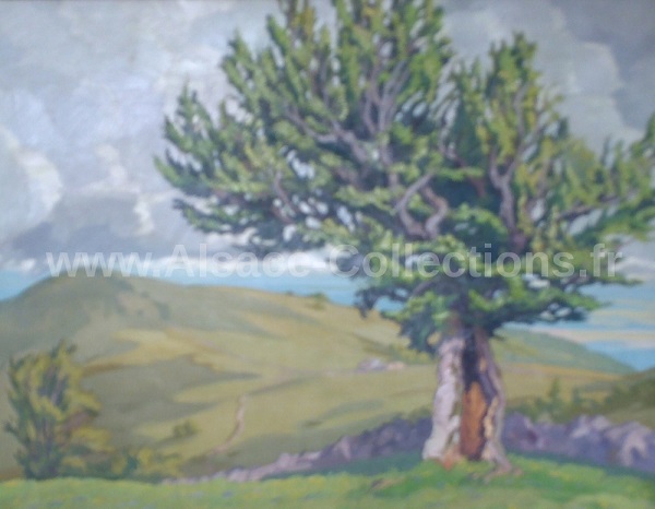 Robert Kammerer 59c