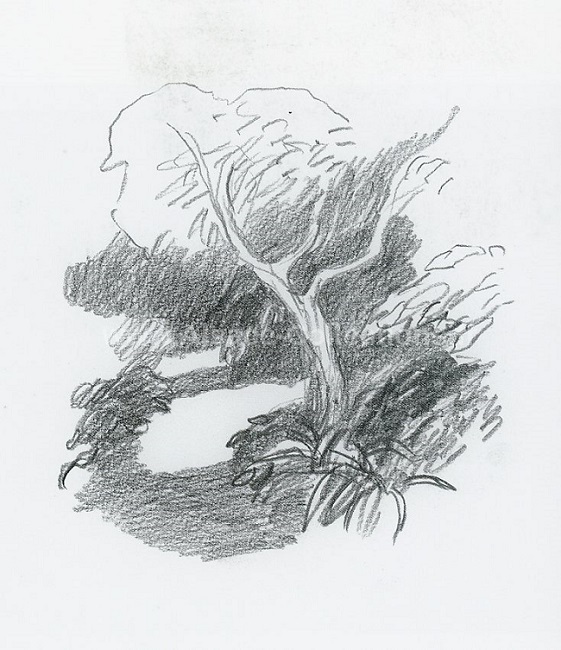 Roger Muhl 48c.jpg