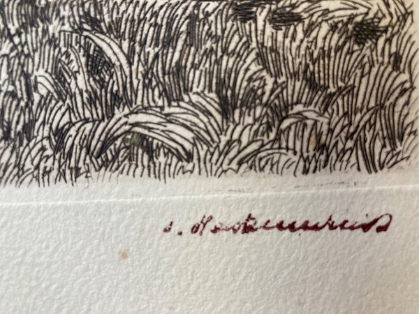 Sabine Hackenschmidt 05.jpg