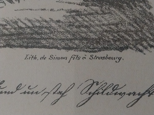 Strasbourg 216.jpg