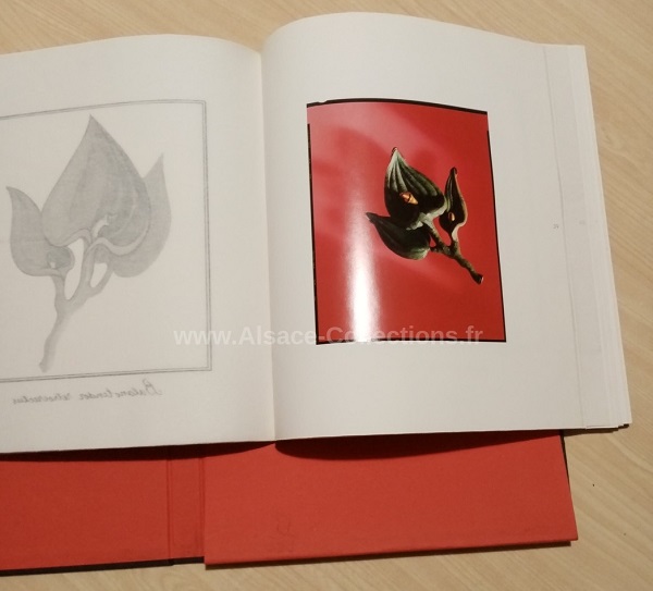 Tomi Ungerer 166c.jpg
